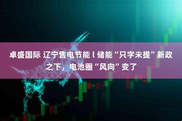 卓盛国际 辽宁售电节能 l 储能“只字未提”新政之下，电池圈“风向”变了