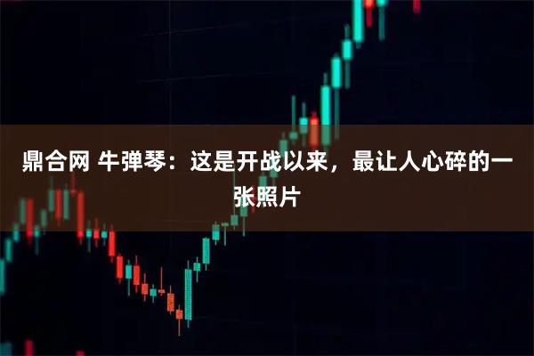 鼎合网 牛弹琴：这是开战以来，最让人心碎的一张照片