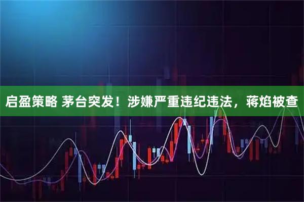 启盈策略 茅台突发！涉嫌严重违纪违法，蒋焰被查