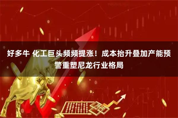 好多牛 化工巨头频频提涨!成本抬升叠加产能预警重塑尼龙行业格局