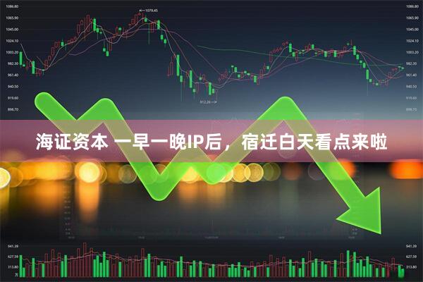 海证资本 一早一晚IP后，宿迁白天看点来啦