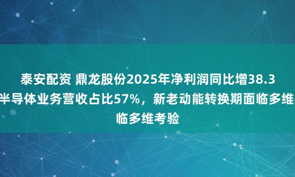 泰安配资 鼎龙股份2025年净利润同比增38.32% 半导体业务营收占比57%，新老动能转换期面临多维考验