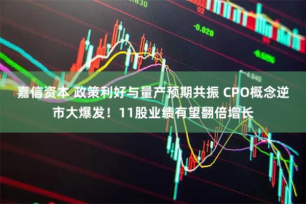 嘉信资本 政策利好与量产预期共振 CPO概念逆市大爆发!11股业绩有望翻倍增长