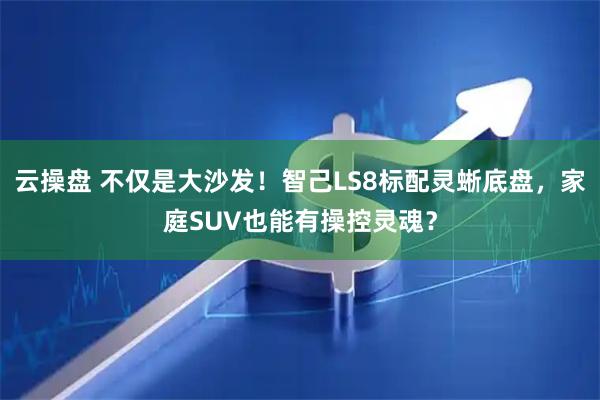 云操盘 不仅是大沙发！智己LS8标配灵蜥底盘，家庭SUV也能有操控灵魂？