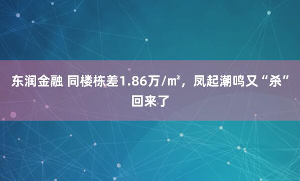 东润金融 同楼栋差1.86万/㎡，凤起潮鸣又“杀”回来了