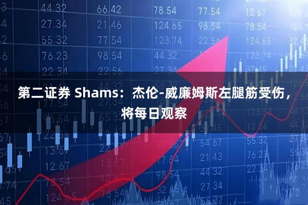 第二证券 Shams：杰伦-威廉姆斯左腿筋受伤，将每日观察