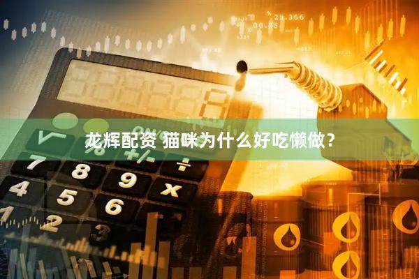 龙辉配资 猫咪为什么好吃懒做？