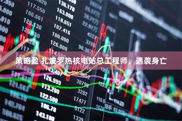 策略盈 扎波罗热核电站总工程师，遇袭身亡