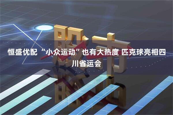 恒盛优配 “小众运动”也有大热度 匹克球亮相四川省运会