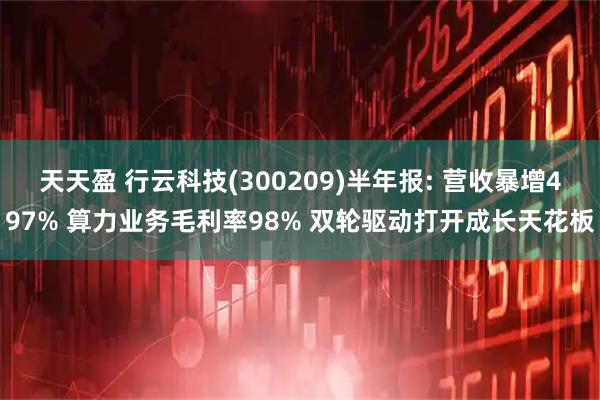 天天盈 行云科技(300209)半年报: 营收暴增497% 算力业务毛利率98% 双轮驱动打开成长天花板