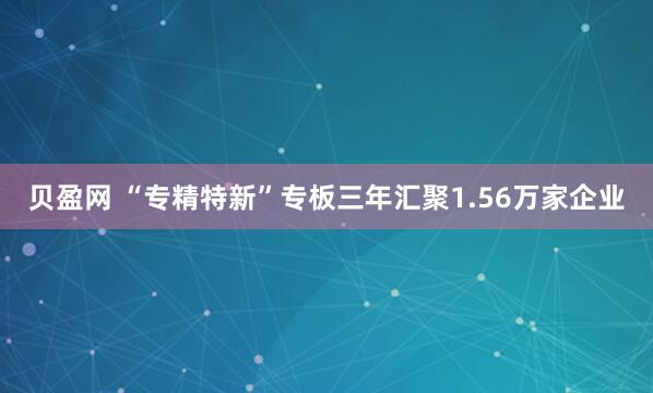 贝盈网 “专精特新”专板三年汇聚1.56万家企业