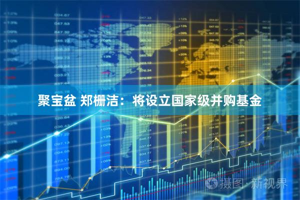 聚宝盆 郑栅洁：将设立国家级并购基金