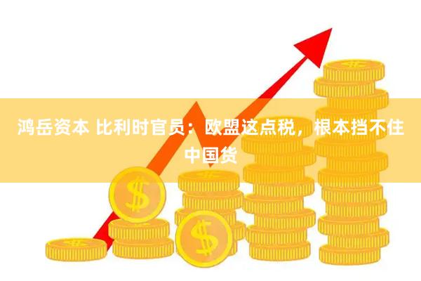 鸿岳资本 比利时官员：欧盟这点税，根本挡不住中国货
