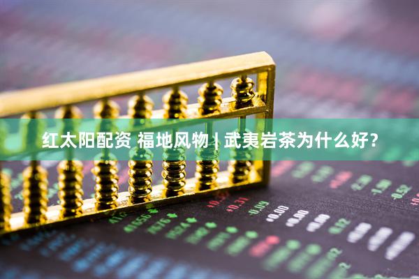 红太阳配资 福地风物 | 武夷岩茶为什么好？