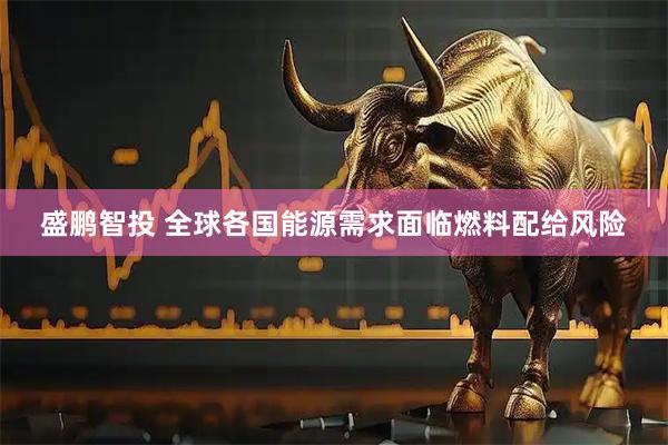 盛鹏智投 全球各国能源需求面临燃料配给风险