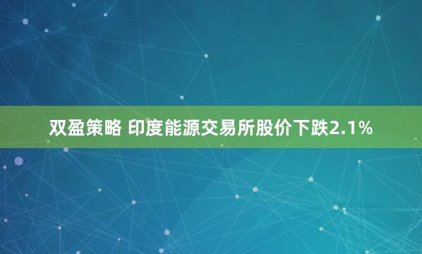 双盈策略 印度能源交易所股价下跌2.1%