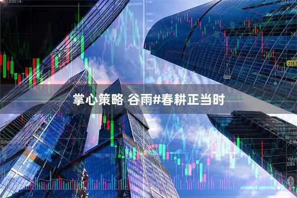 掌心策略 谷雨#春耕正当时
