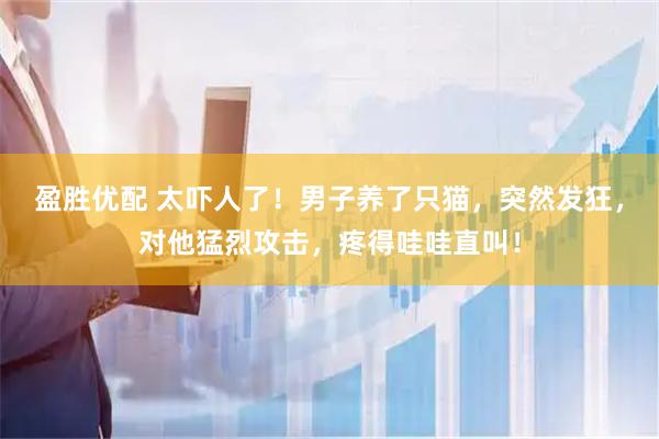 盈胜优配 太吓人了！男子养了只猫，突然发狂，对他猛烈攻击，疼得哇哇直叫！
