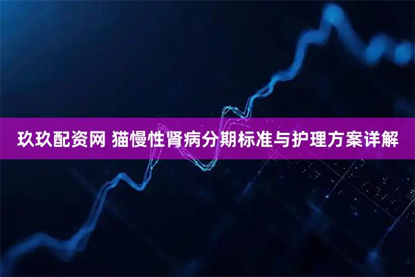 玖玖配资网 猫慢性肾病分期标准与护理方案详解