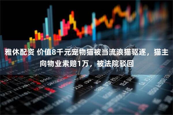 雅休配资 价值8千元宠物猫被当流浪猫驱逐，猫主向物业索赔1万，被法院驳回
