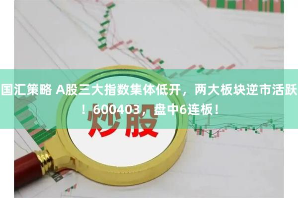 国汇策略 A股三大指数集体低开，两大板块逆市活跃！600403，盘中6连板！