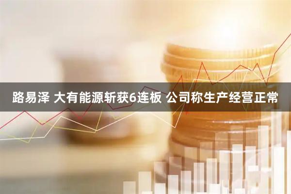 路易泽 大有能源斩获6连板 公司称生产经营正常