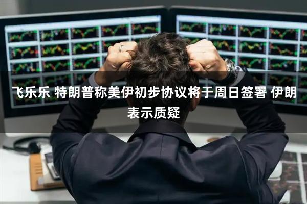 飞乐乐 特朗普称美伊初步协议将于周日签署 伊朗表示质疑