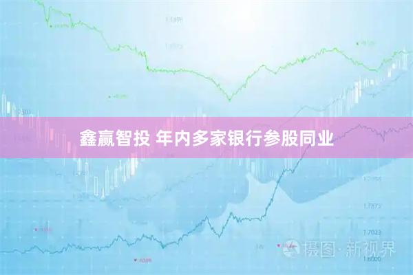 鑫赢智投 年内多家银行参股同业