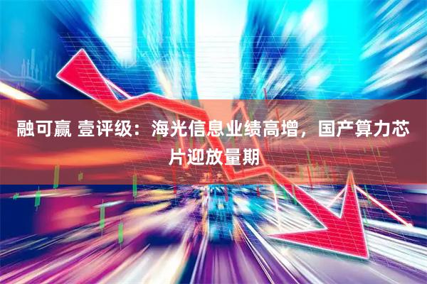 融可赢 壹评级：海光信息业绩高增，国产算力芯片迎放量期